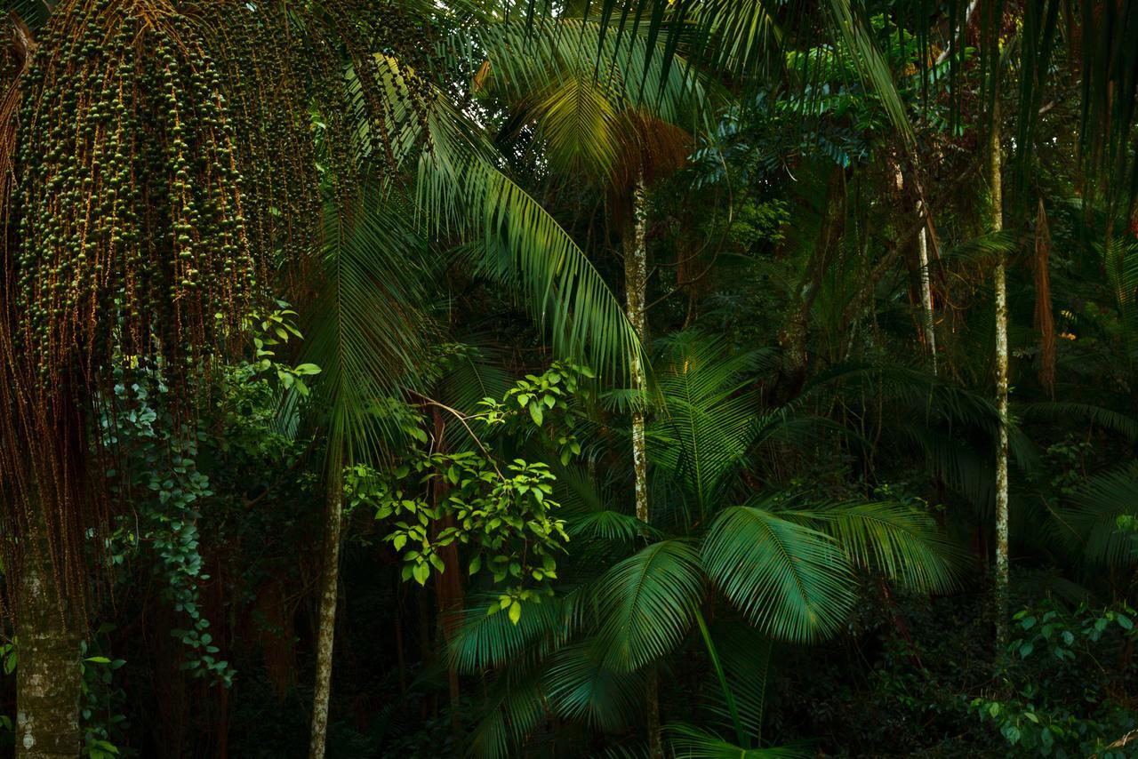 Yacutinga Lodge Puerto Iguazú Eksteriør bilde